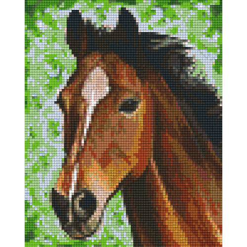 Kôň 34430